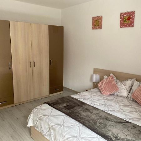 Rebeca Apartament Lugoj Esterno foto