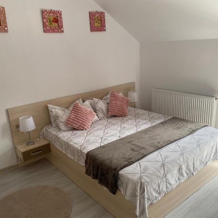 Rebeca Apartament Lugoj Esterno foto