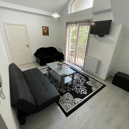 Rebeca Apartament Lugoj Esterno foto