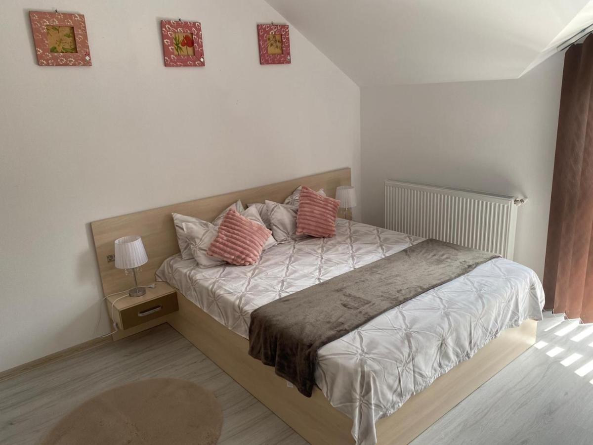 Rebeca Apartament Lugoj Esterno foto