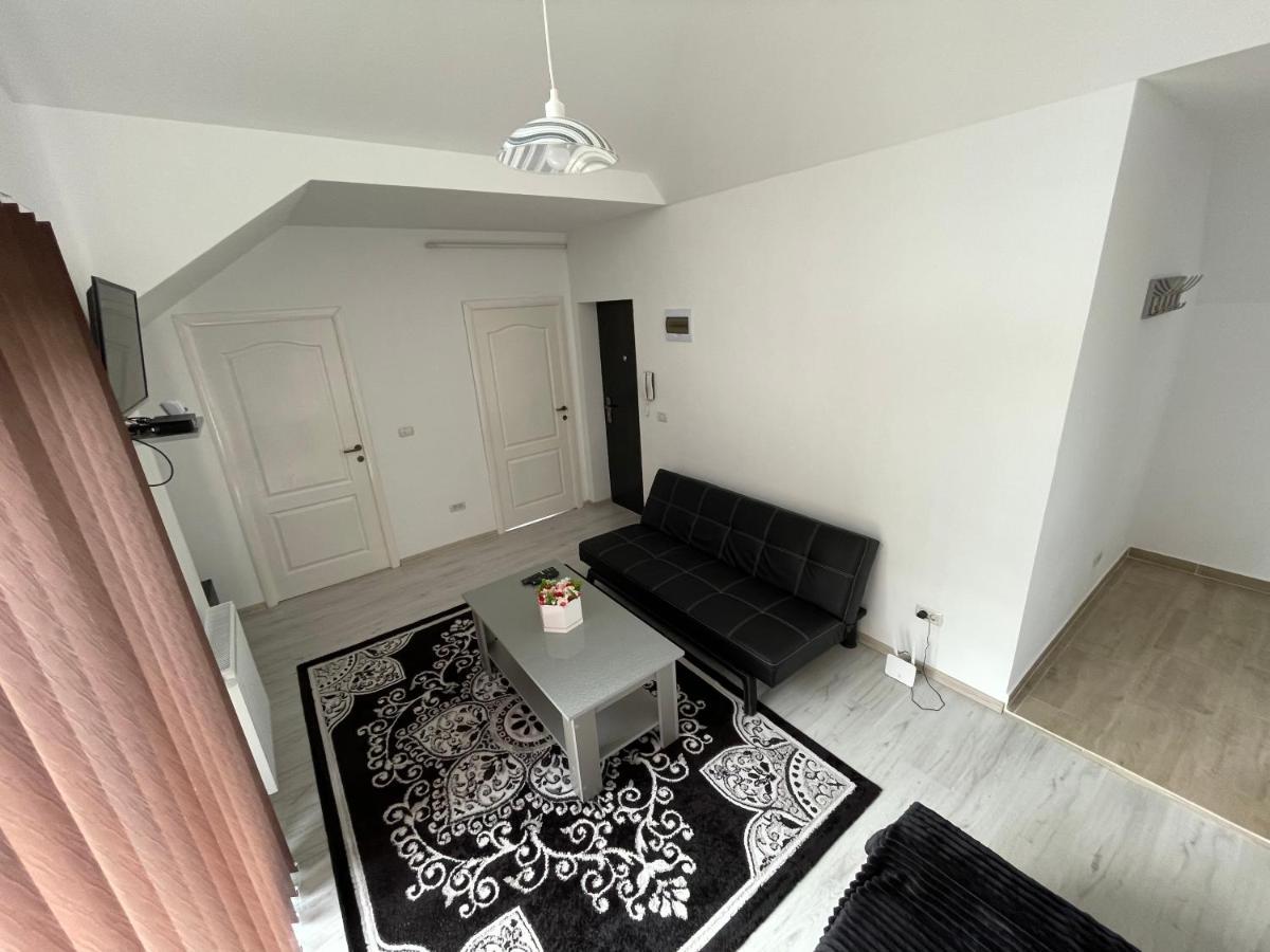 Rebeca Apartament Lugoj Esterno foto